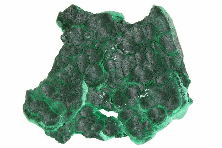 Silky Fibrous Malachite Cluster - Congo #138544